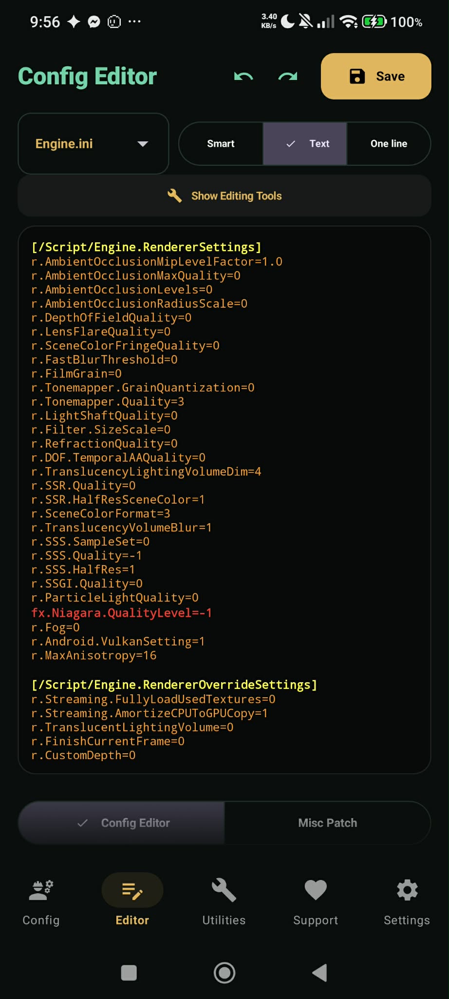 Text Raw Mode UI Preview showing syntax highlighted INI editor
